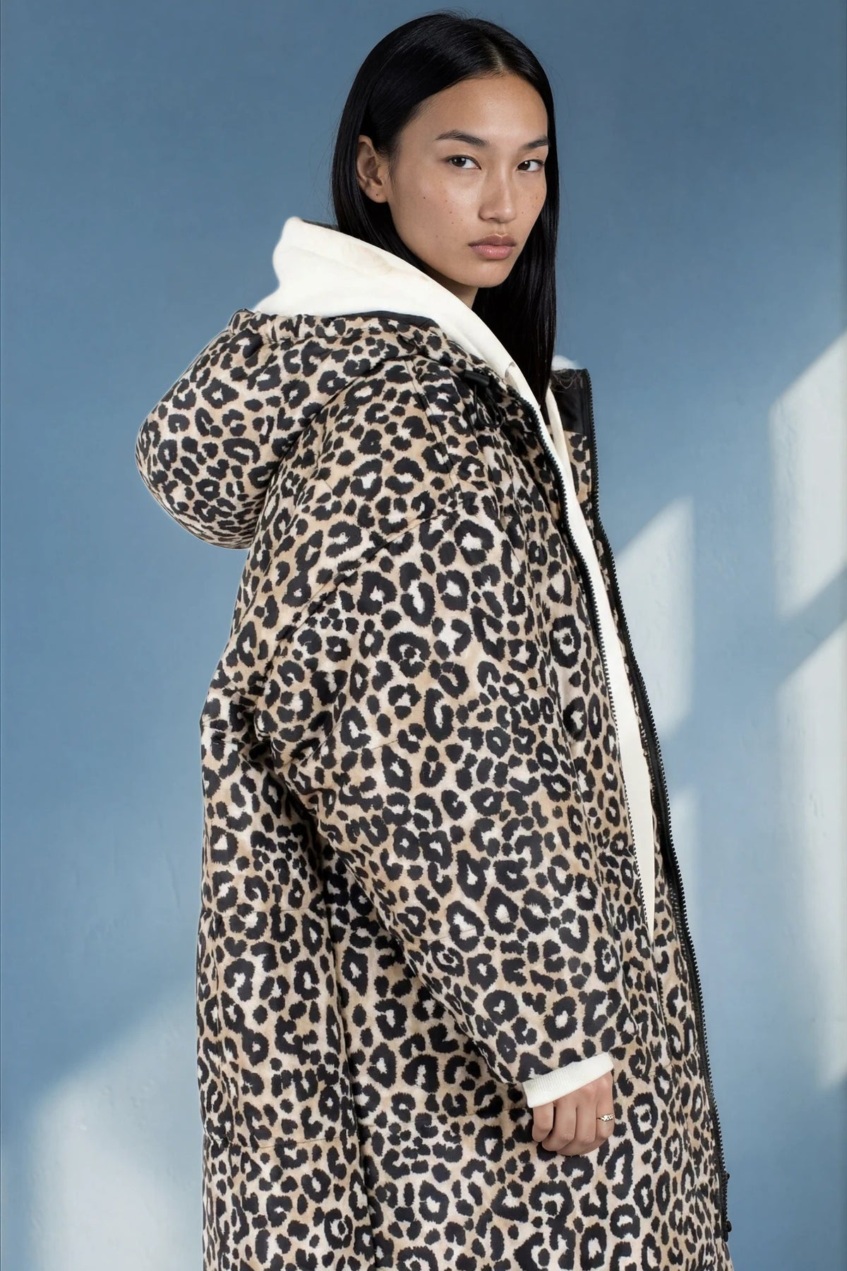SNOW LEOPARD